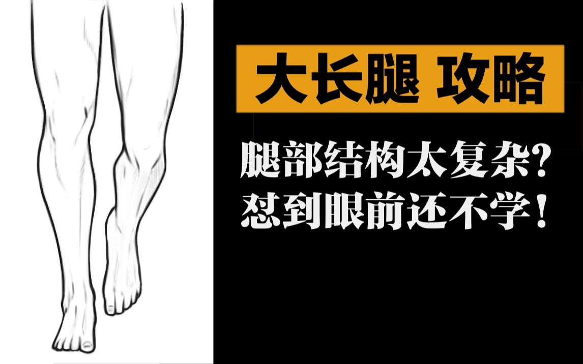 [图]【萌新学人体】 8 分钟教你攻略腿部结构丨大长腿什么的，自己画不香吗？