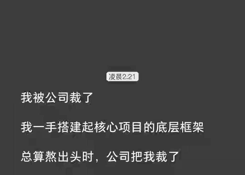 我一手搭建起公司核心项目的底层框架,总算熬出头时,公司把我裁了《惆怅充数》哔哩哔哩bilibili