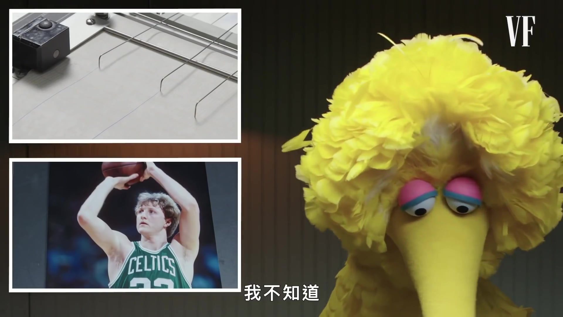 如何保持年来都是岁芝麻街大鸟bigbird与明星伙伴们"