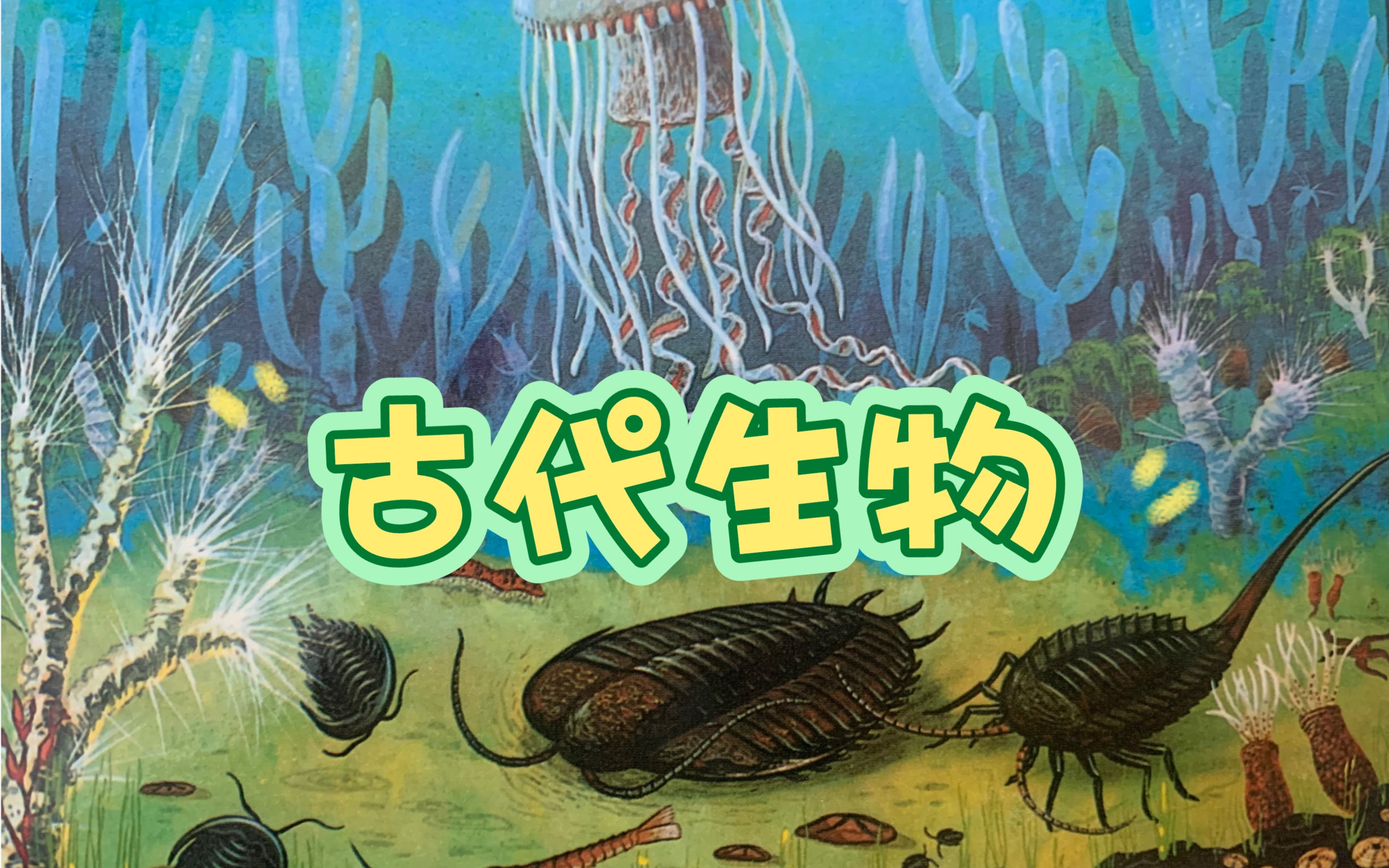 中國孩子的自然圖書館-古代生物2/3