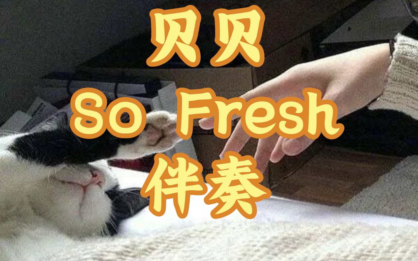 贝贝-so fresh(伴奏)