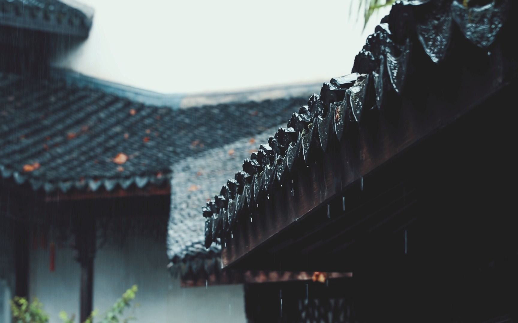 [图]【白噪音 雨声】昨夜雨疏风骤,浓睡不消残酒。