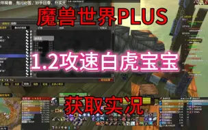 Télécharger la video: 魔兽世界PLUS，联盟如何获取部落的1.2攻速白虎实况