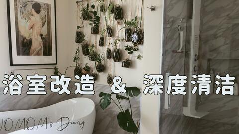 浴室改造和深度清洁 上 植物墙 好物推荐 Bathroom Makeover And Deep Cleaning Clean With Me 哔哩哔哩 Bilibili