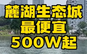 Download Video: 麓湖生态城最便宜500w起