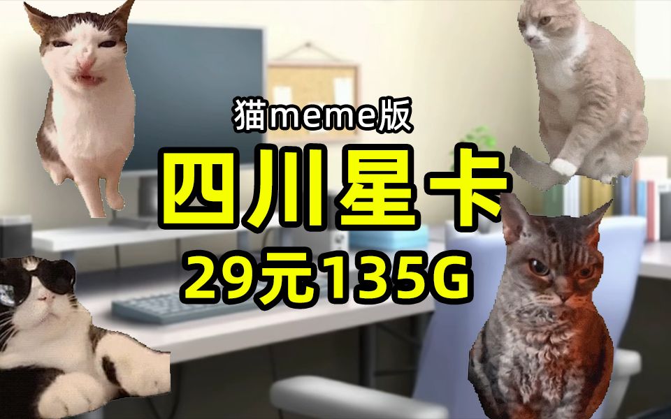 [猫meme]当00后上岗卖流量卡,四川星卡29元135G+100分钟来了!!哔哩哔哩bilibili