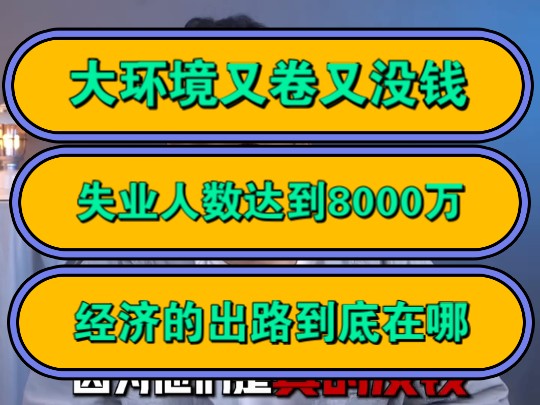 大环境又卷又没钱,失业人数达到8000万,经济的出路到底在哪?哔哩哔哩bilibili