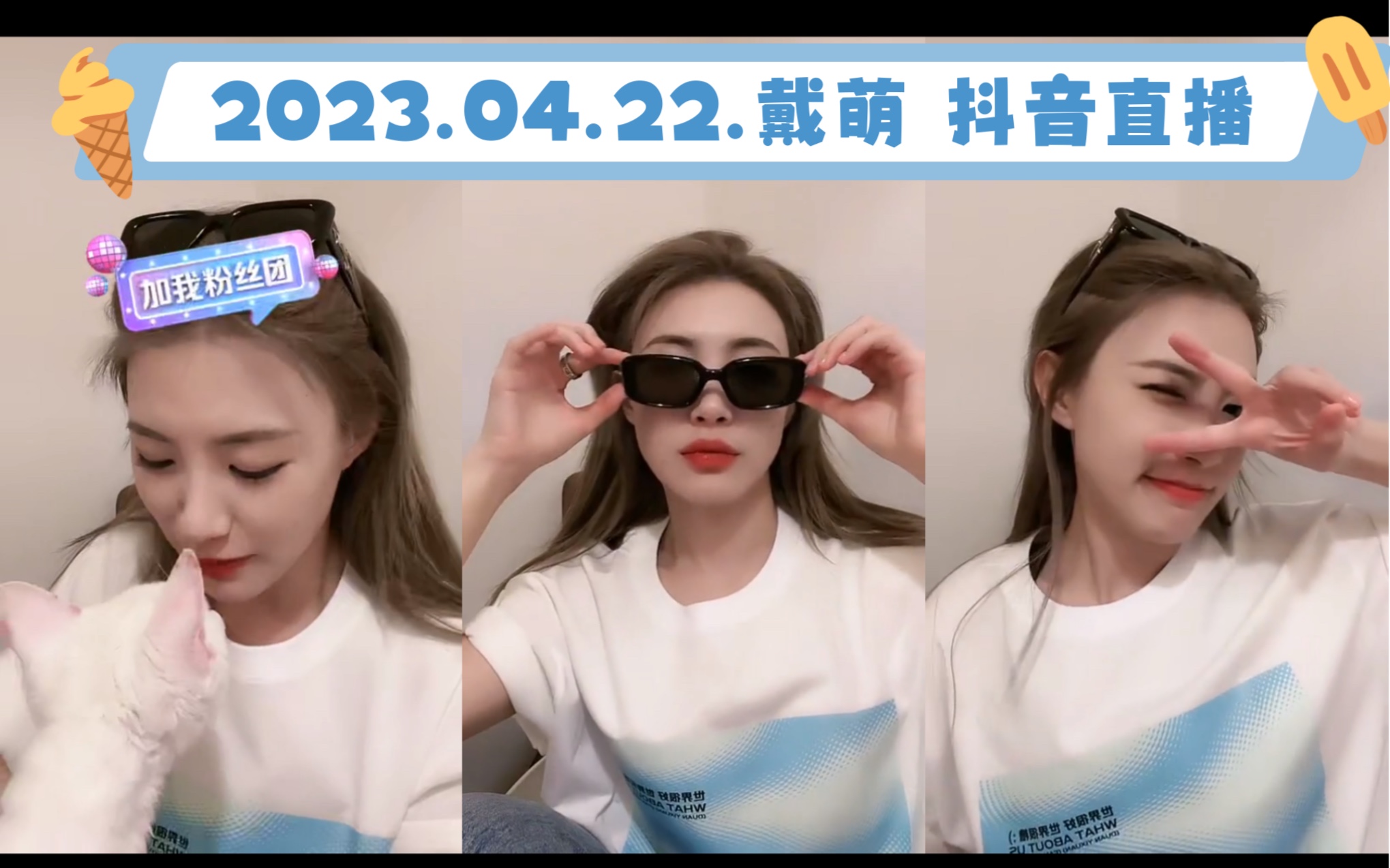 【戴萌】段艺璇助演成功 小公猫吸人事件 丢东西达人认证|2023.04.20.