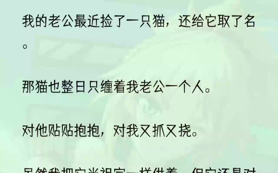 但平時只是雲養吸貓,現在既然有貓送上門,我自然來者不拒,而且這隻貓