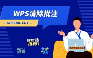 Download Video: WPS清除批注