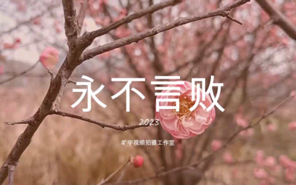 永不言败2023哔哩哔哩bilibili