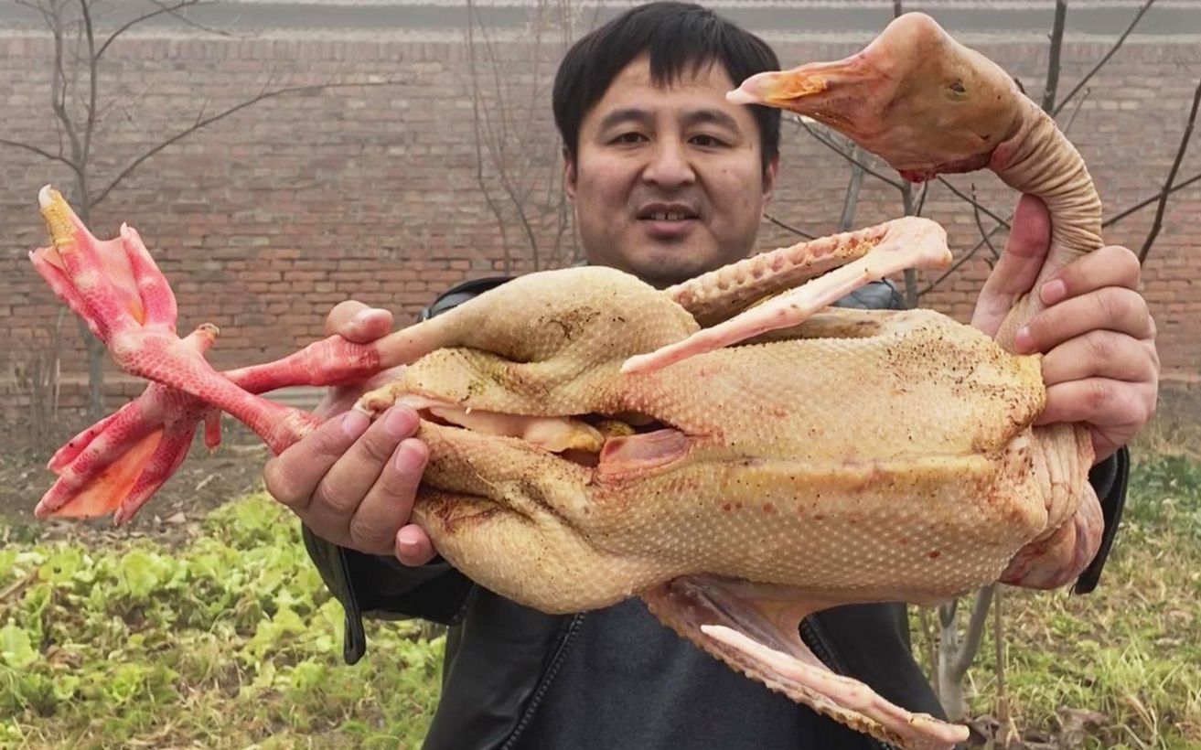活动作品鹅鹅鹅拔毛开膛进铁锅大炖一个小时多出锅成了香饽饽净重六斤