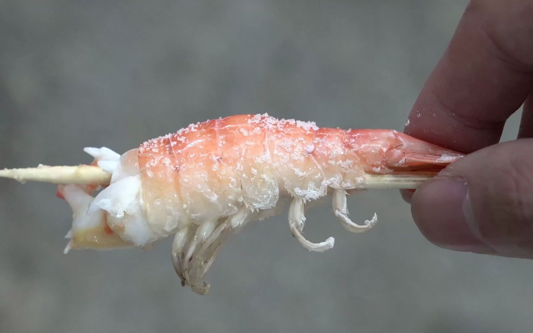 抓到就烤的台湾虾钓 shrimp fishing roast prawn shop taiwan street