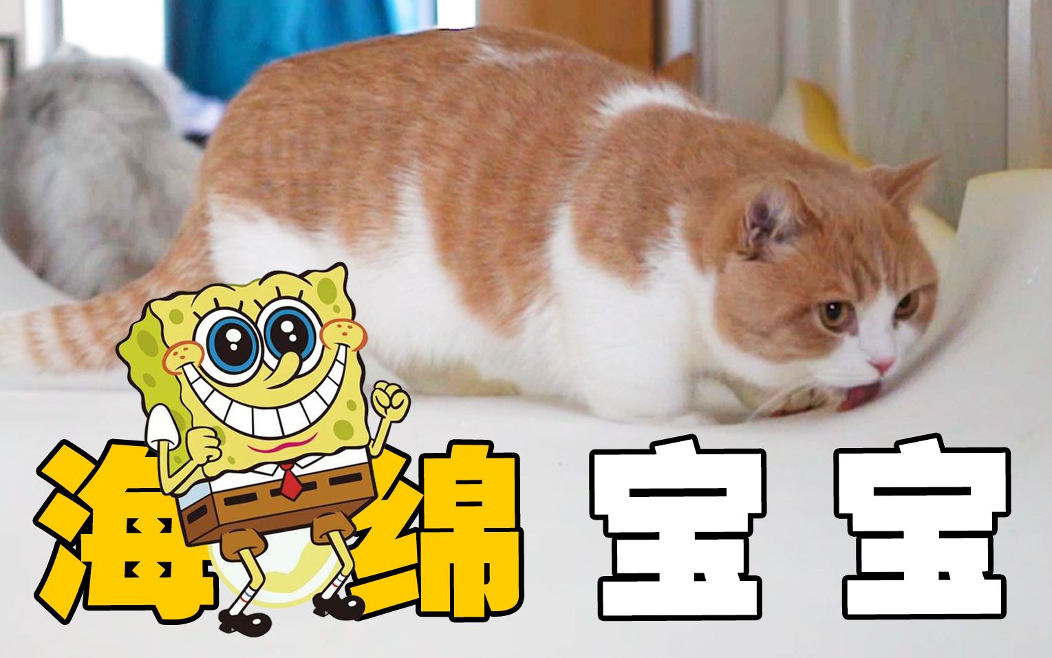吐槽大帝不吐槽