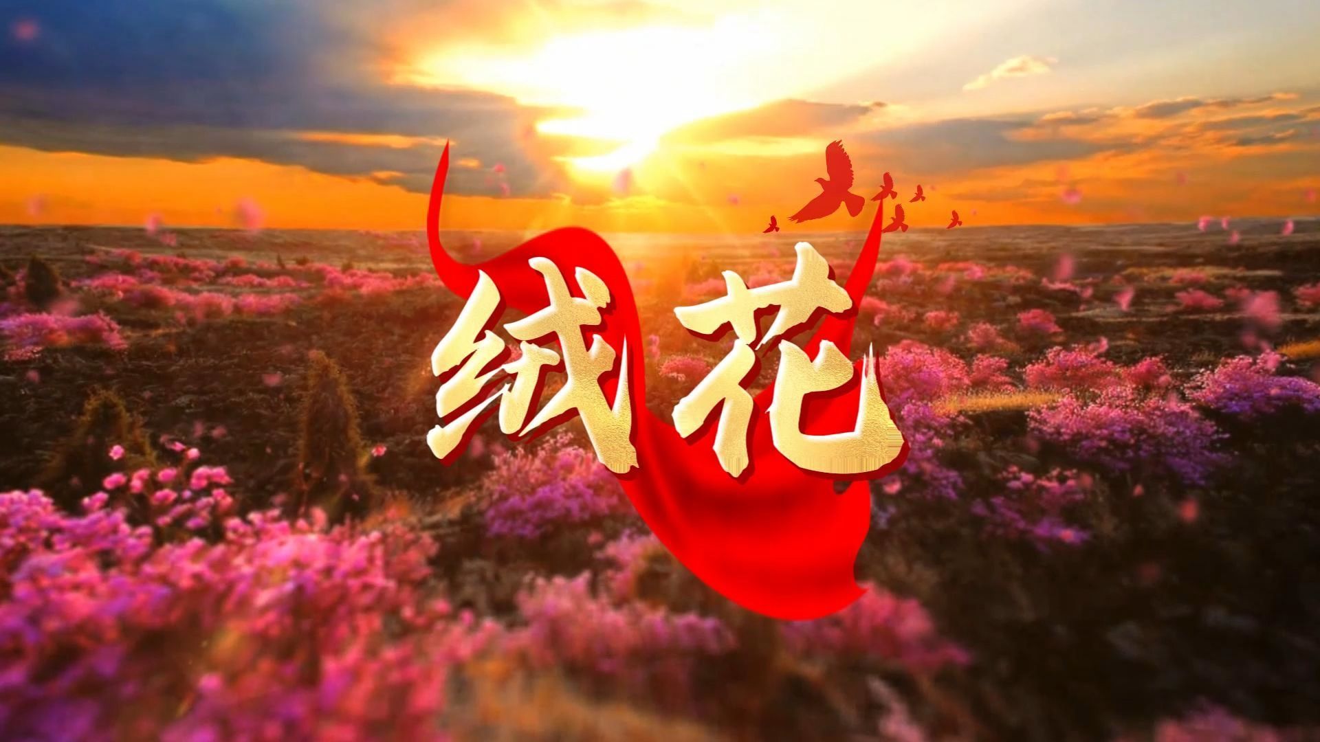 《绒花》高清歌曲背景视频