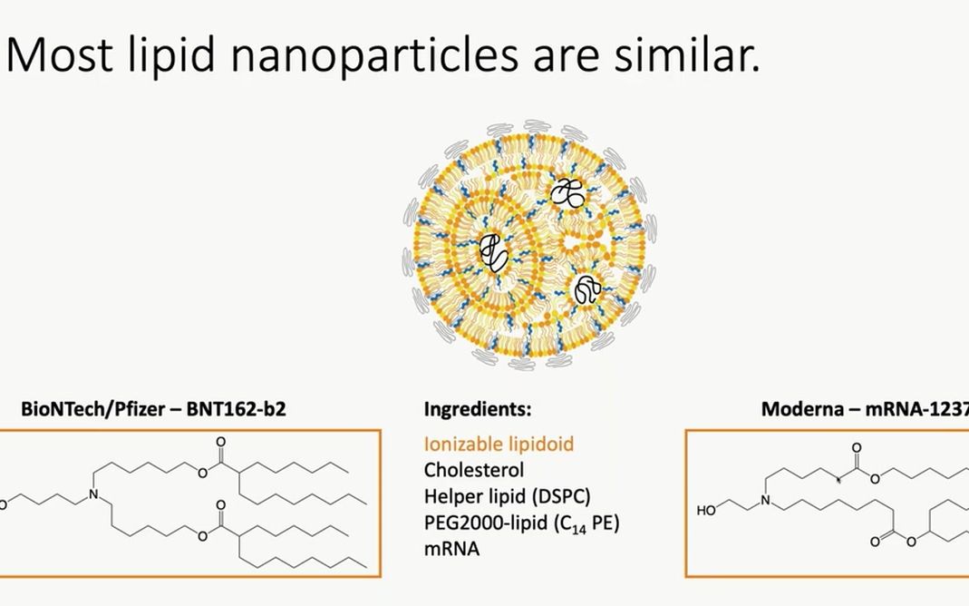 [图]【Nature·中字】研讨会科普：脂质纳米颗粒应用于mRNA递送