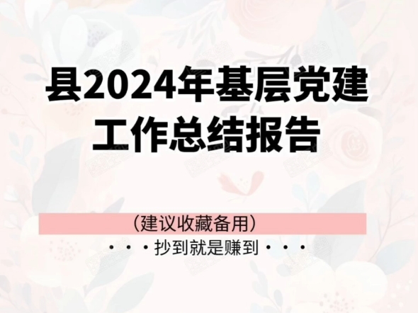 县2024年基层党建工作总结报告哔哩哔哩bilibili