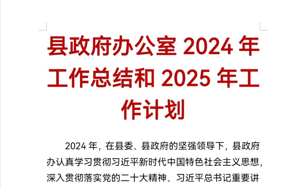 县政府办公室2024年工作总结和2025年工作计划哔哩哔哩bilibili