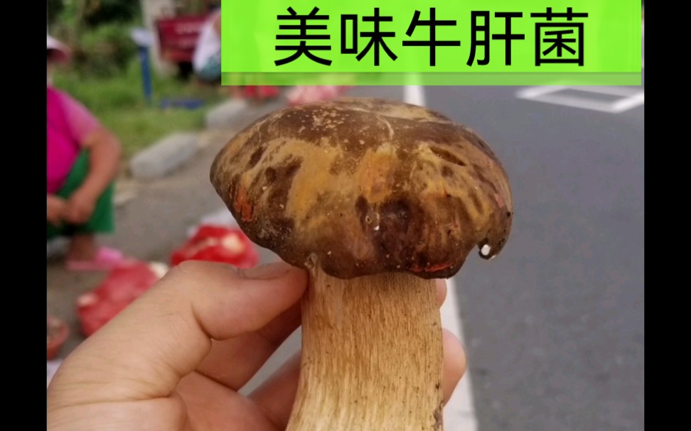 美味牛肝菌,油炸,好吃.放冰箱里可以放到过年哔哩哔哩bilibili