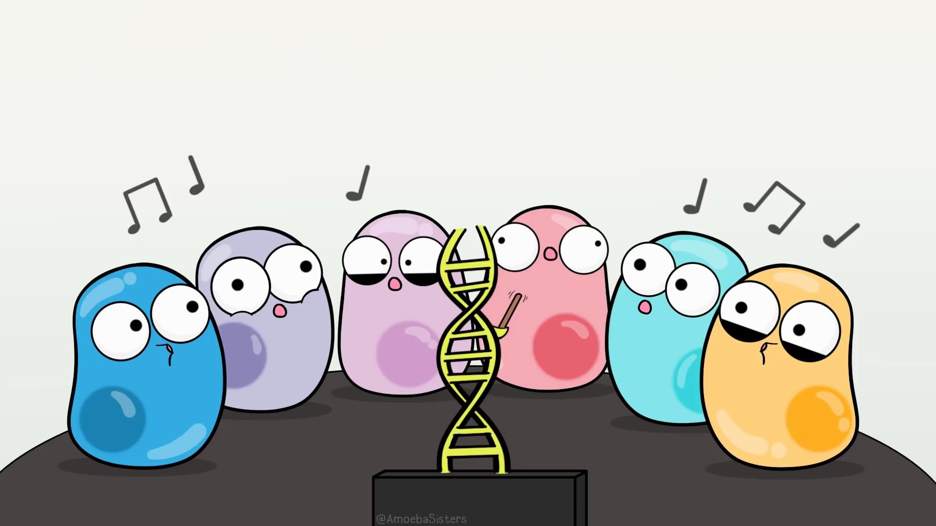 DNA Replication (Updated)哔哩哔哩bilibili