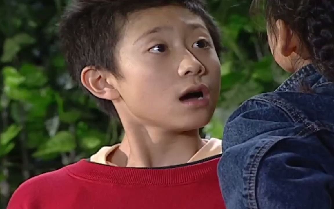 家有儿女:小雨被打哭,刘星替弟弟出头打架,怎料对方是女孩!