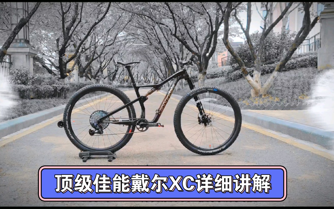 佳能戴尔23款山地车左撇子详细讲解
