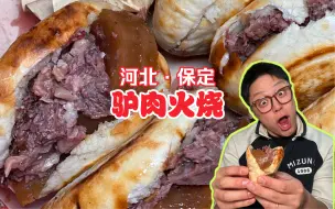 Скачать видео: 保定特色驴肉火烧！皮酥肉烂嘎嘎爆汁！天上龙地下驴是真的！