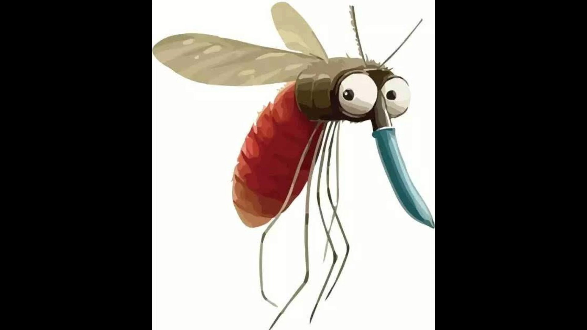 蚊子蜜蜂大黄蜂