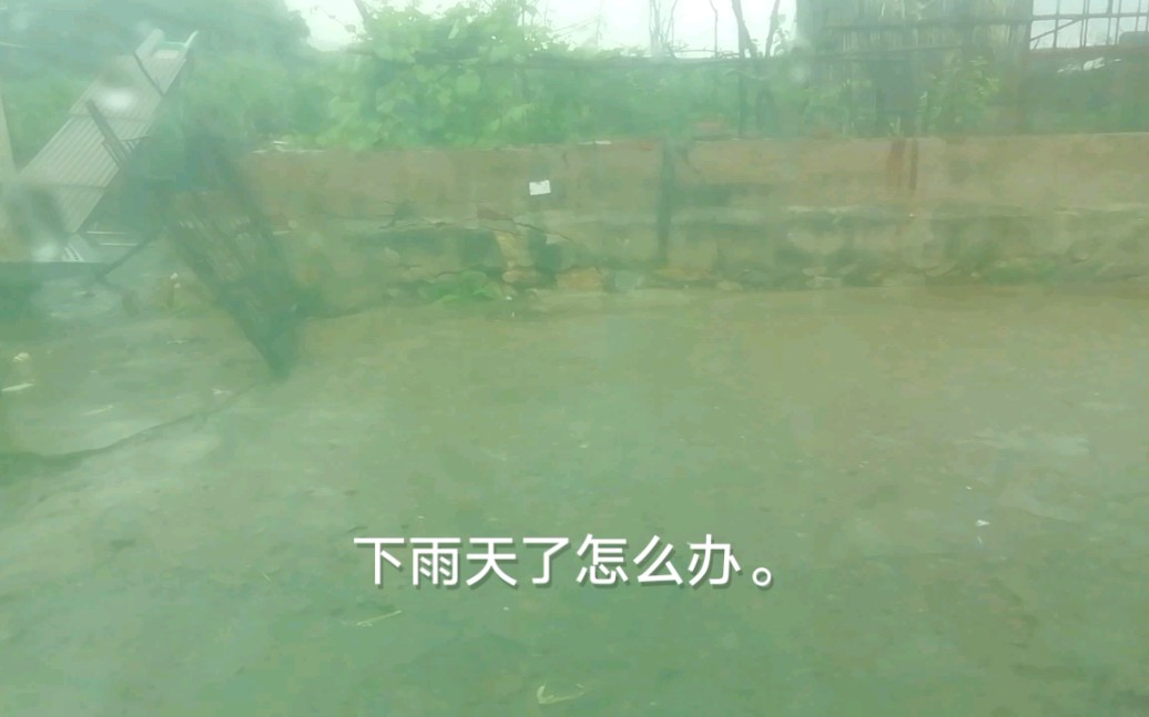 《xing amsr》 下雨天背景音,开窗听雨.打打字摸摸枕头,摩擦敲击音哔哩哔哩bilibili