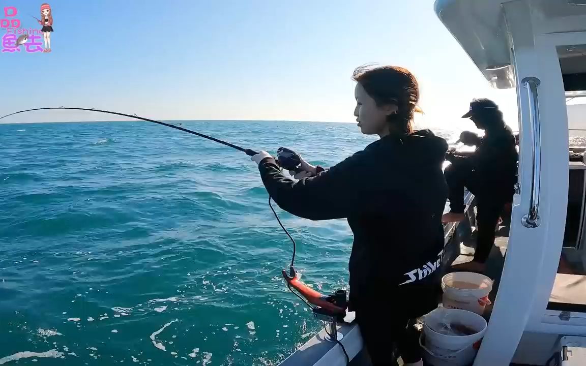 海钓,铁板,船矶钓,美女带队,各种巨物上岸,大家都爆箱