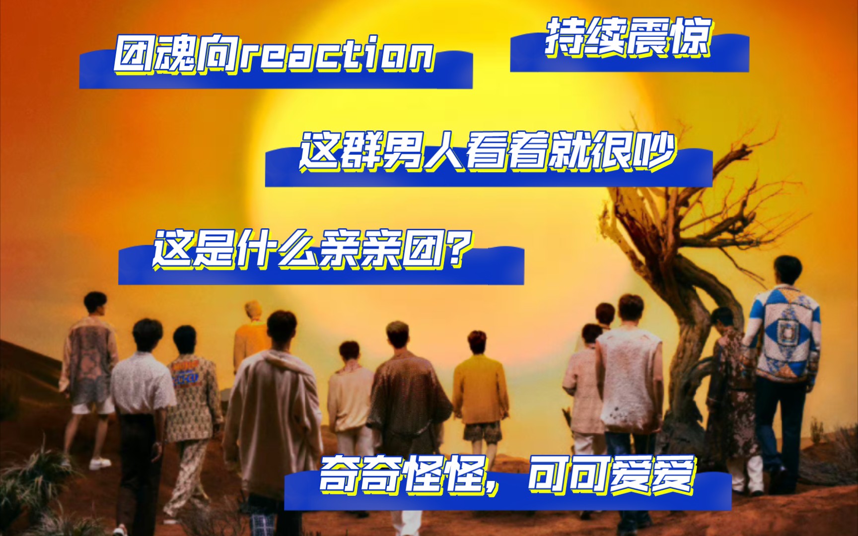 Seventeen团魂向Reaction,这什么亲亲团,持续震惊!哔哩哔哩bilibili