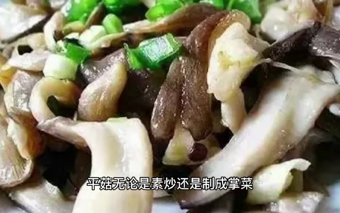 常用食物的营养特点——大话平菇哔哩哔哩bilibili