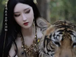 Download Video: 我这只大猫怎么和别人的不一样