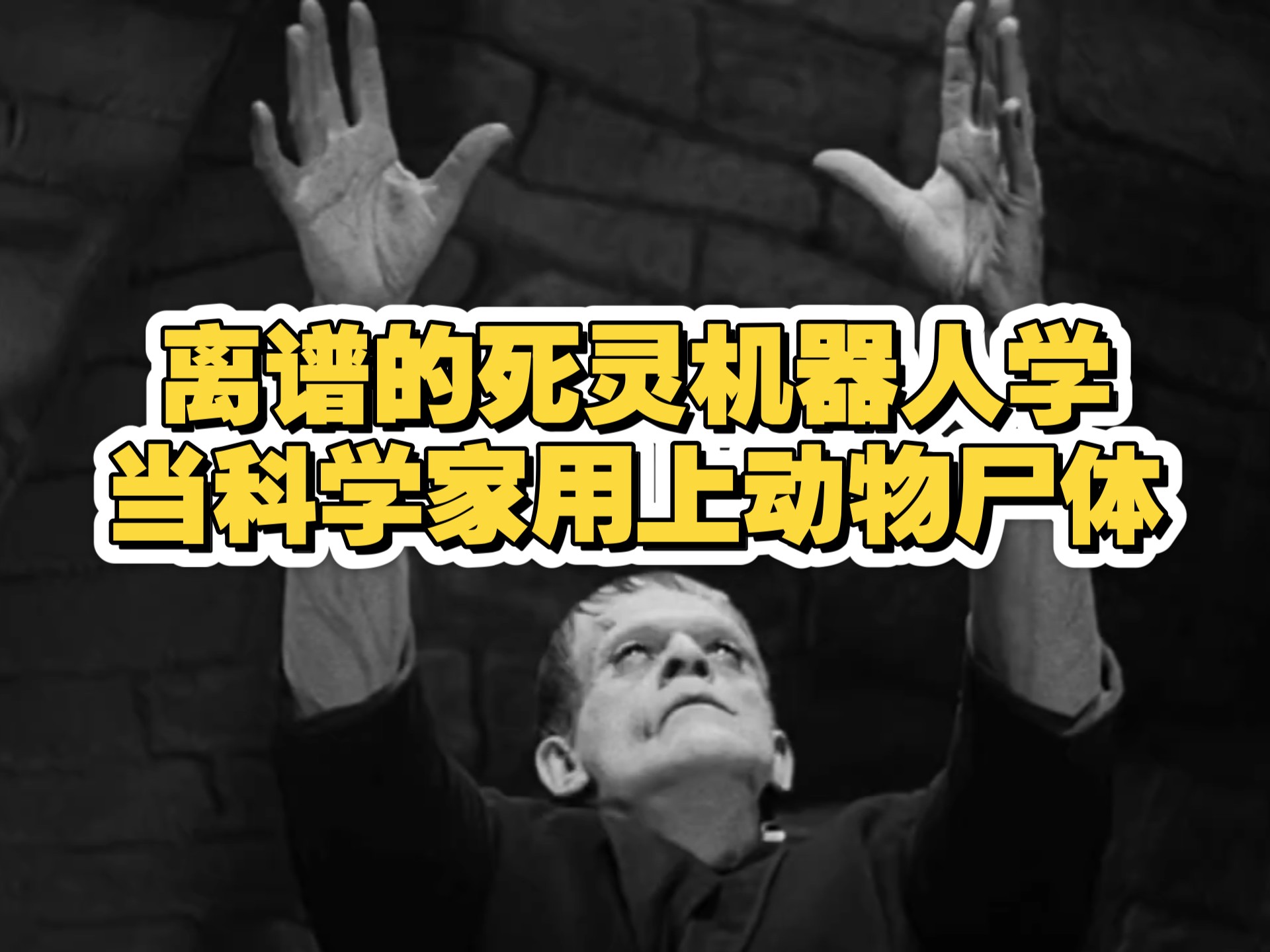 离谱的死灵机器人学，真的是拿生物干工程啊。