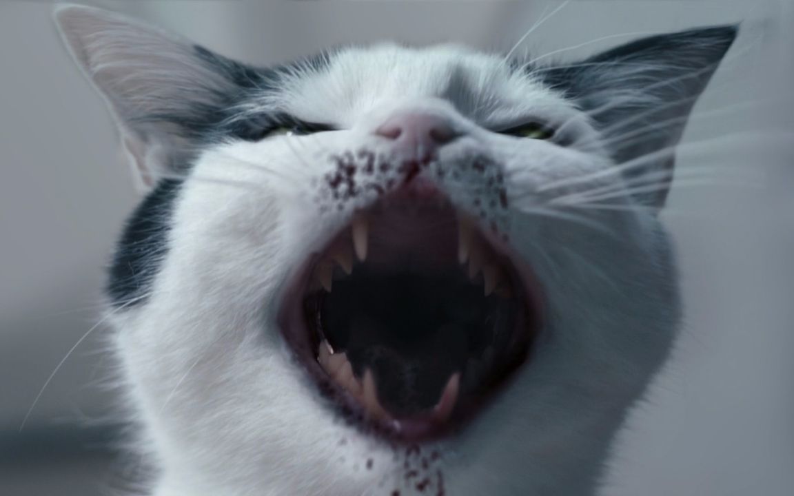 第二十期:几分钟看英剧《超能少年》