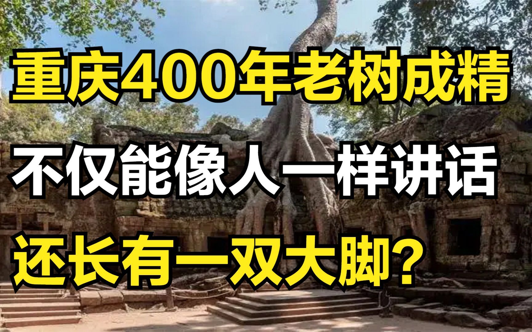 [图]重庆400年老树成精！不仅能像人一样讲话，还长有一双大脚？