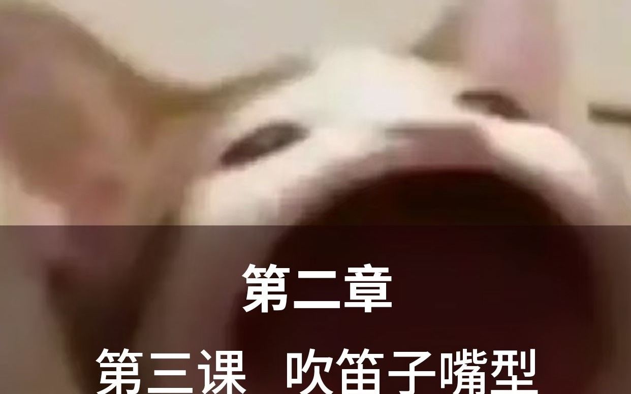 吹笛子正确的嘴型是怎样的?哔哩哔哩bilibili