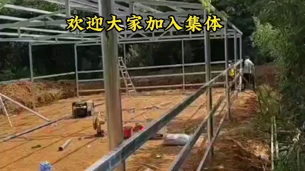 [图]着手建设集体化牛棚，欢迎大家加入。