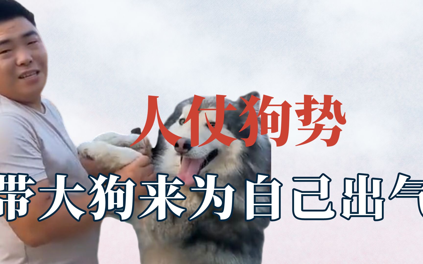 见过狗仗人势的,还第一次见人仗狗势的