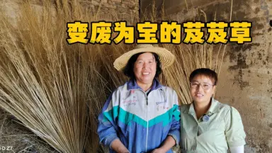 芨芨草-哔哩哔哩_Bilibili 芨芨草-哔哩哔哩_Bilibili