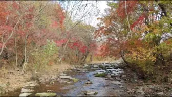 寄居隅怪奇事件簿 四 正常流程 哔哩哔哩 Bilibili