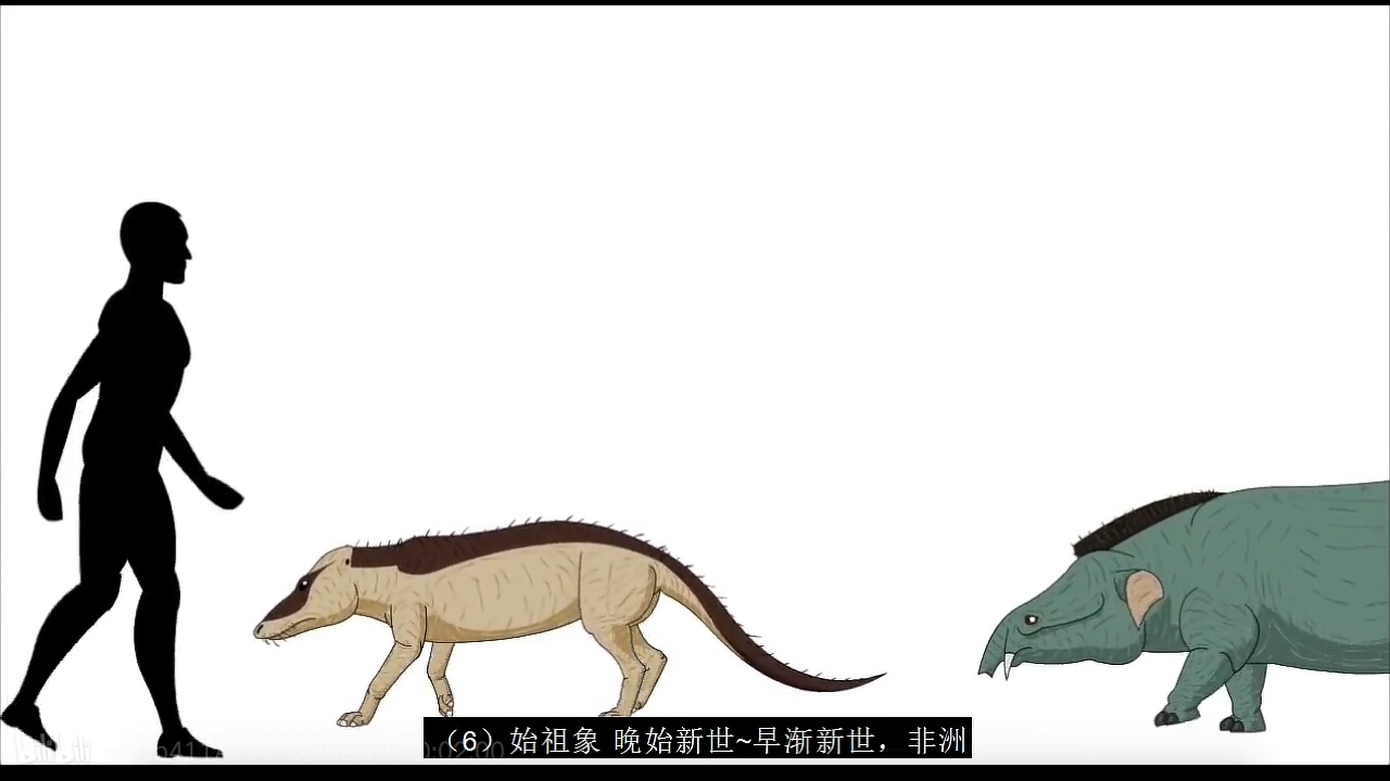 [图]古生物体型大小对比