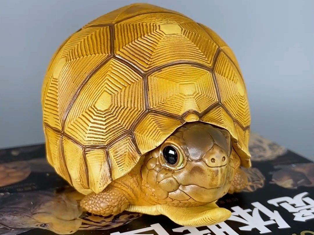 【呆头鹅模玩】动物星云动物星球心宽体胖龟模型