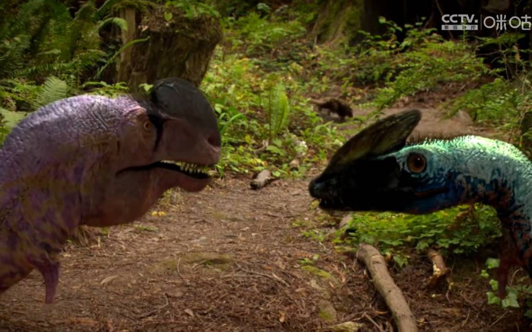 《恐龙革命》-五彩冠龙