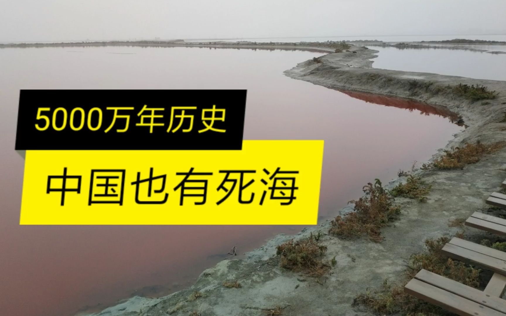 五千万年历史的中国死海,七种颜色一望无际,比一座城市还大哔哩哔哩bilibili