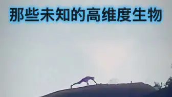 那些未知的高维度生物