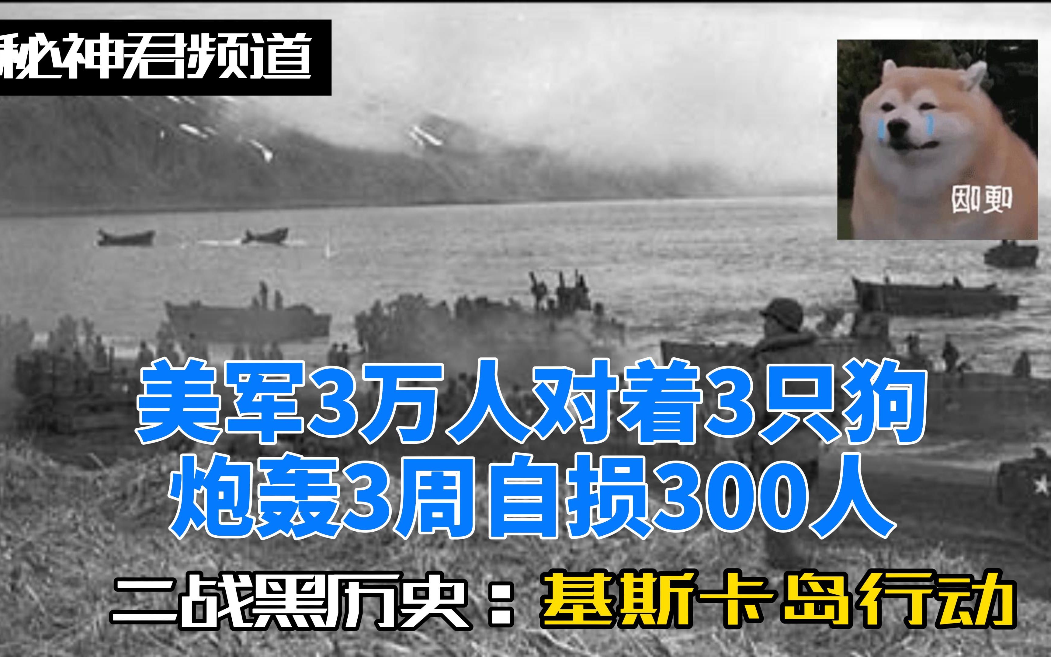 3万美军对着只有3只狗的岛,轰炸了3周,一上岛自损300人,牛哇哔哩哔哩bilibili