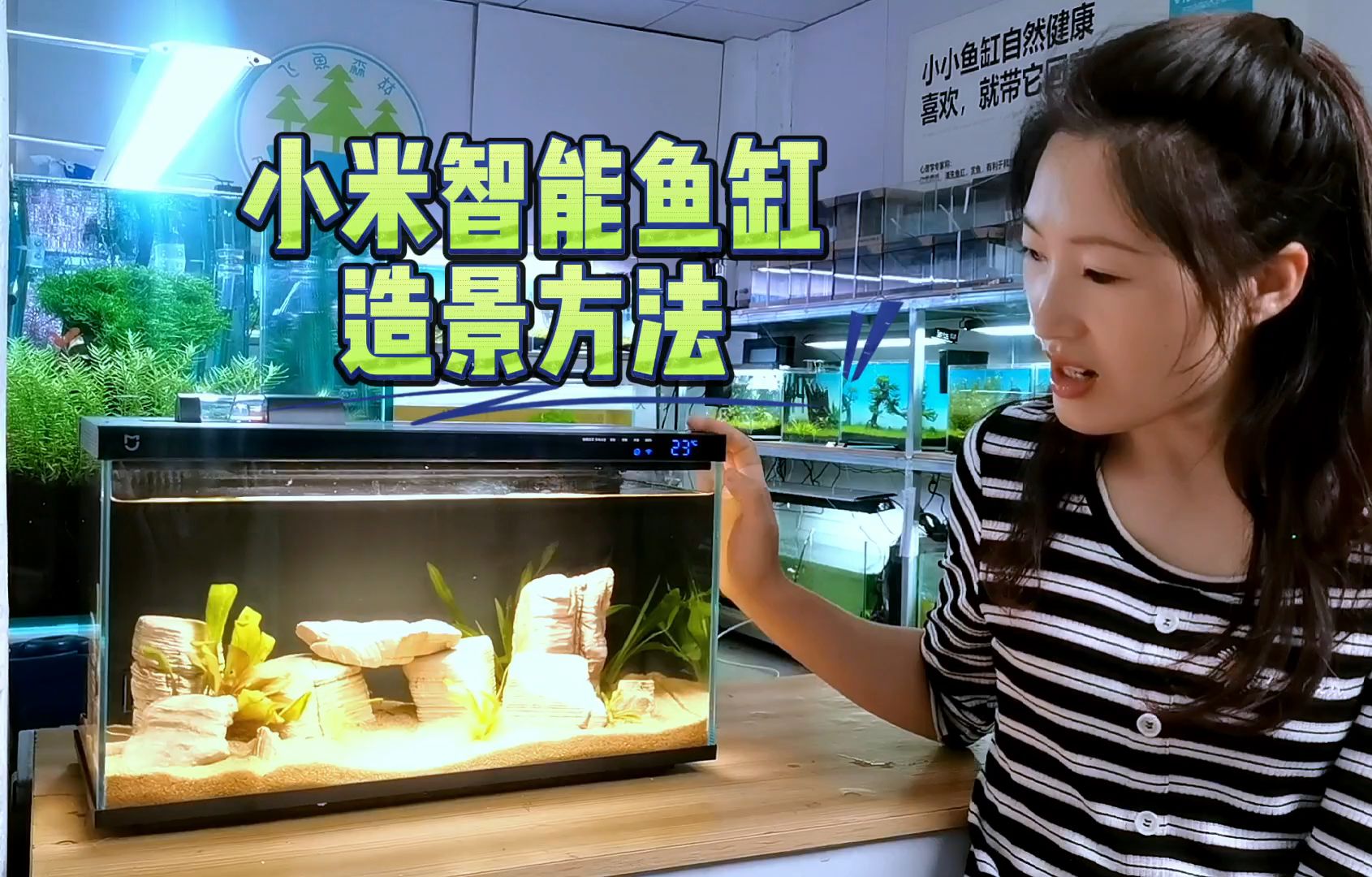 小米智能鱼缸千层石造景方法