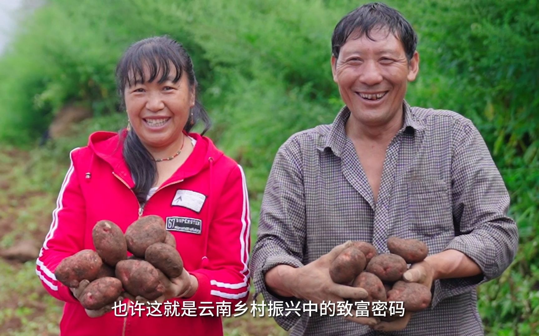 [图]有一种叫云南的生活 洋芋开出致富花