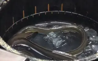 搬运美食短视频